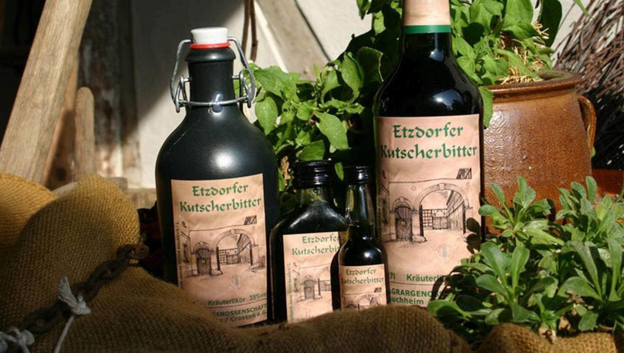 Naturhotel Etzdorfer Hof Schoenburg Экстерьер фото